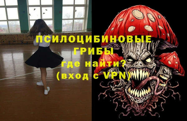 ешки Арсеньев