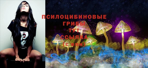 мескалин Аркадак