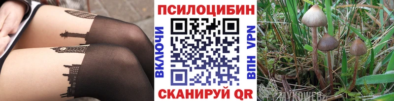 Галлюциногенные грибы GOLDEN TEACHER  Пыталово 
