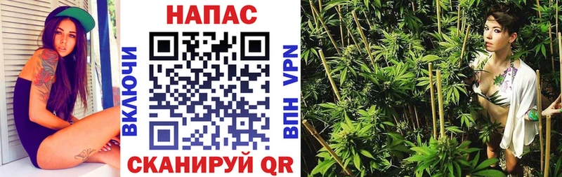 Бошки марихуана OG Kush  Пыталово 